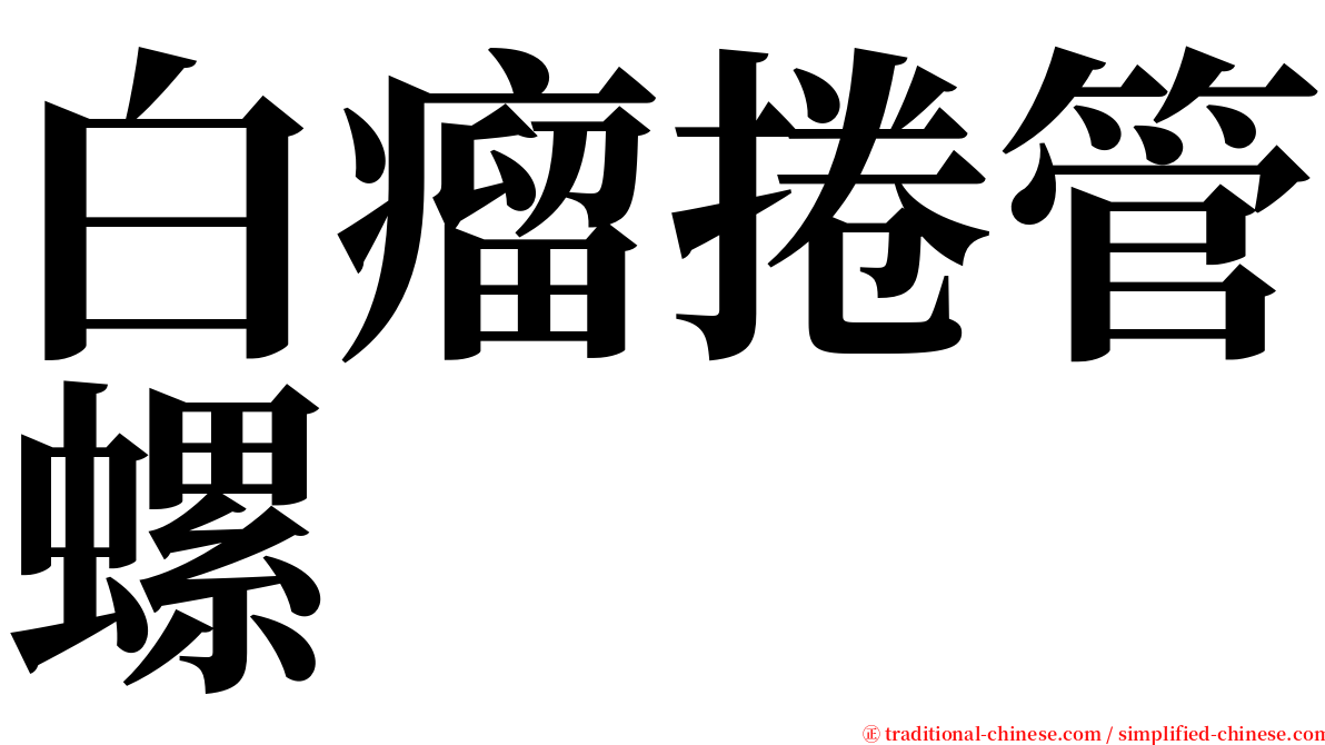 白瘤捲管螺 serif font