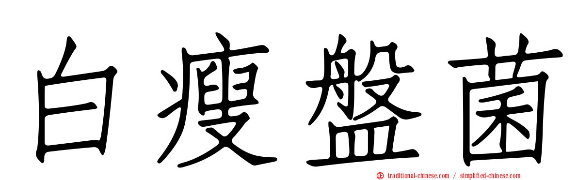 白瘦盤菌