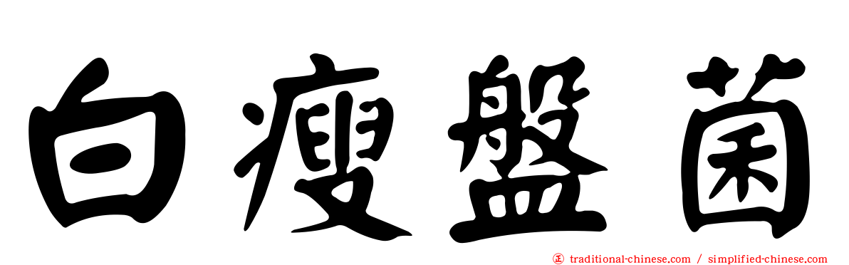 白瘦盤菌