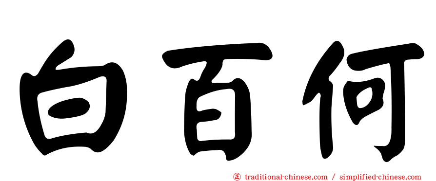 白百何