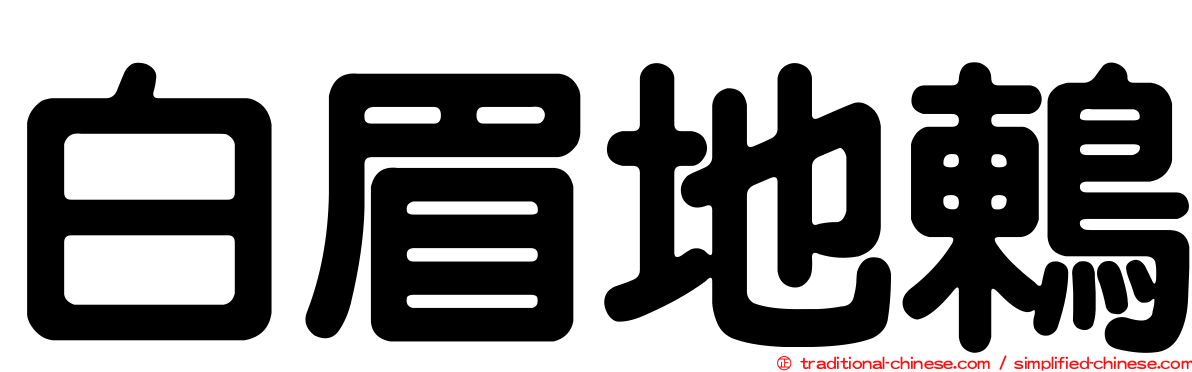 白眉地鶇