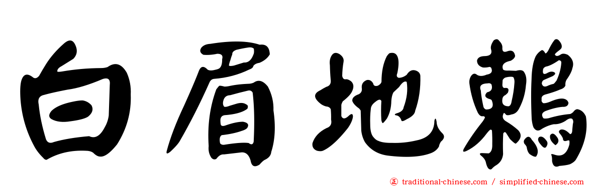 白眉地鶇
