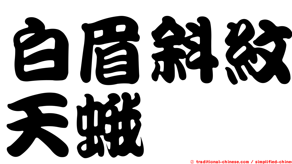 白眉斜紋天蛾