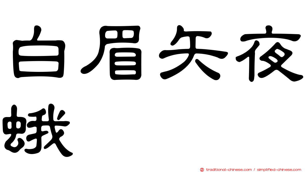 白眉矢夜蛾
