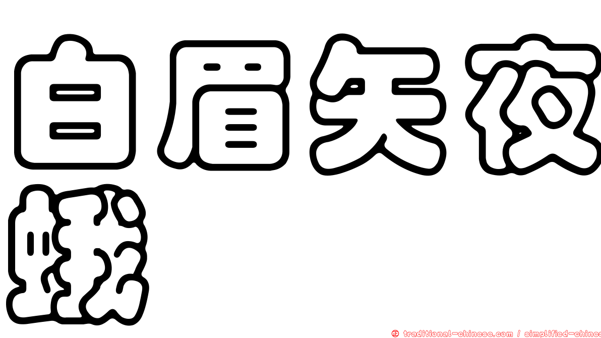 白眉矢夜蛾