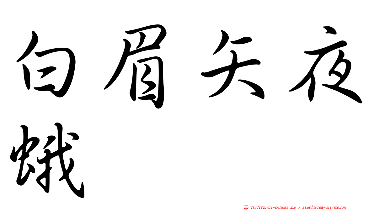 白眉矢夜蛾