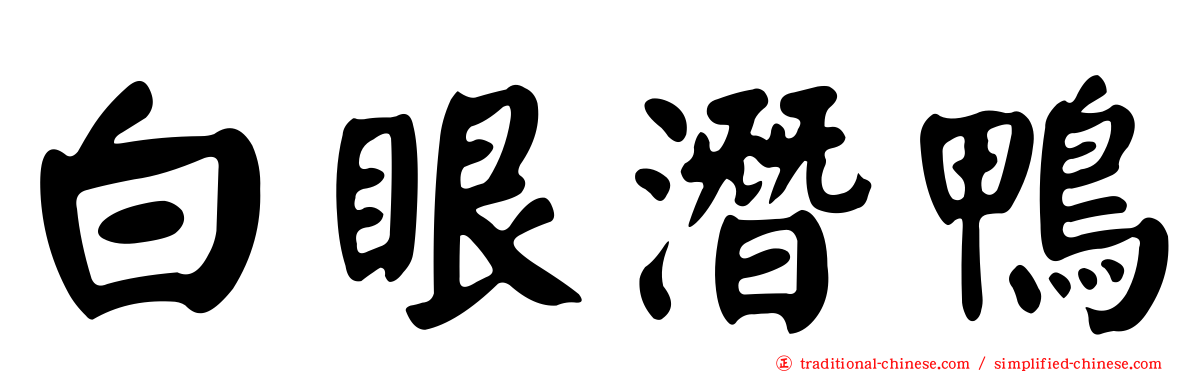 白眼潛鴨
