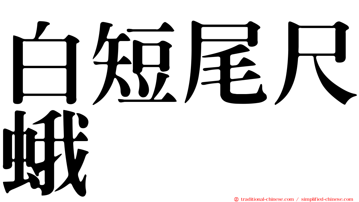 白短尾尺蛾