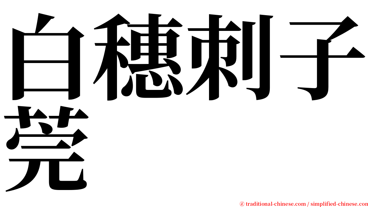 白穗刺子莞 serif font