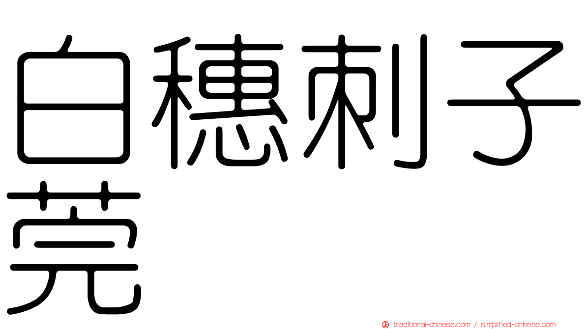白穗刺子莞