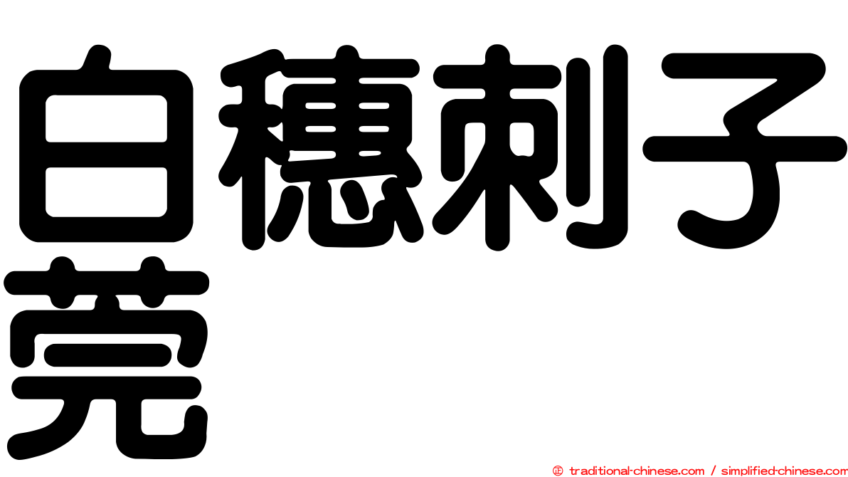 白穗刺子莞