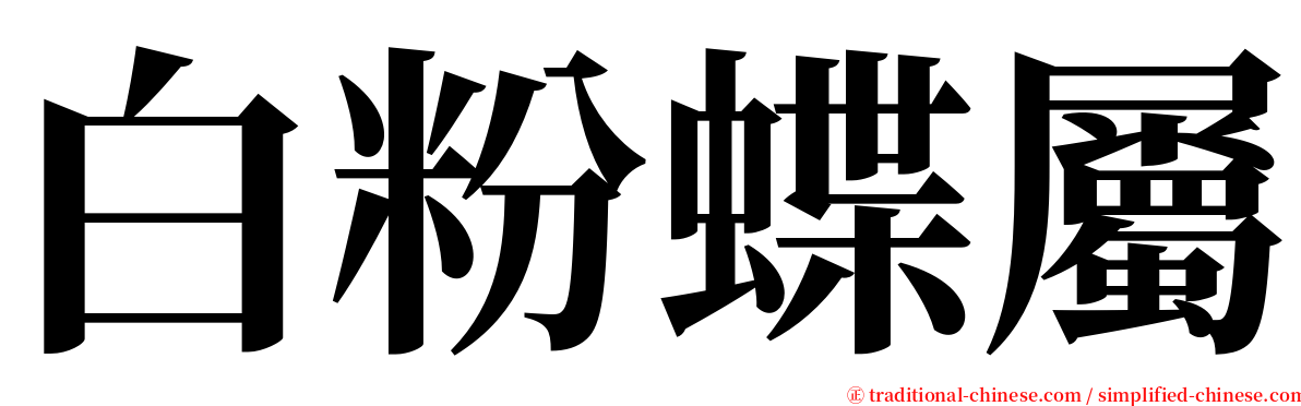 白粉蝶屬 serif font