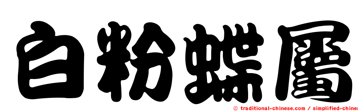 白粉蝶屬