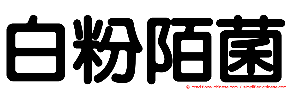 白粉陌菌