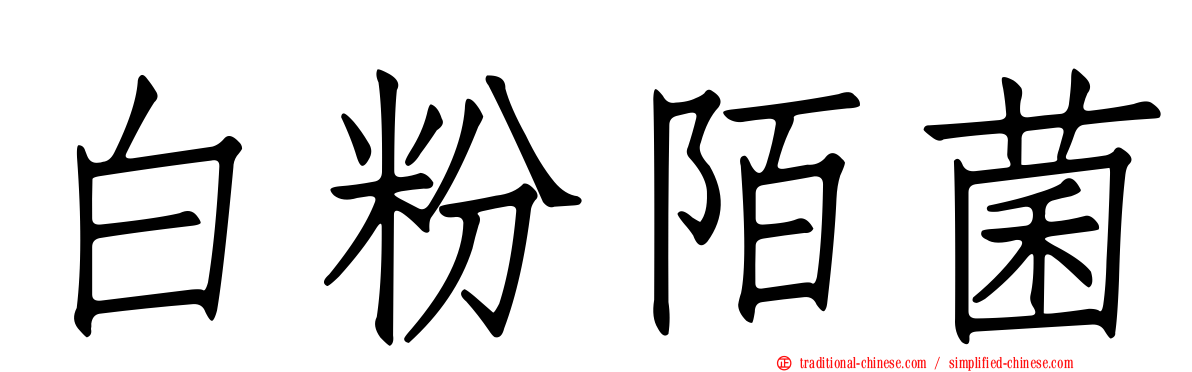 白粉陌菌