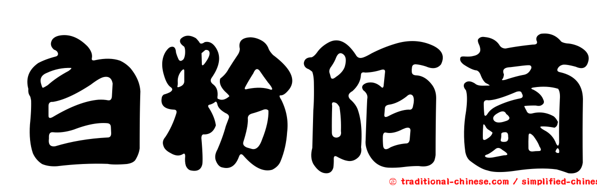白粉陌菌