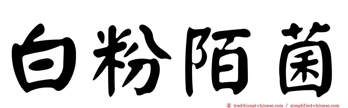 白粉陌菌