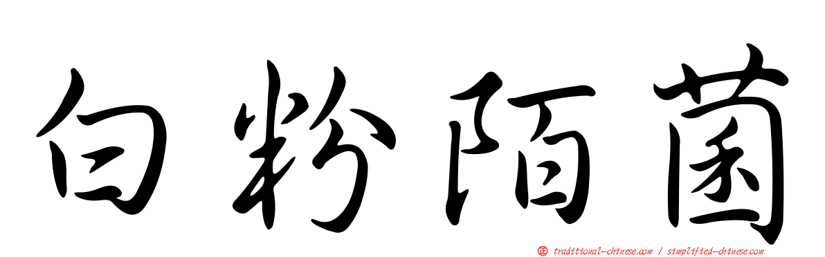 白粉陌菌