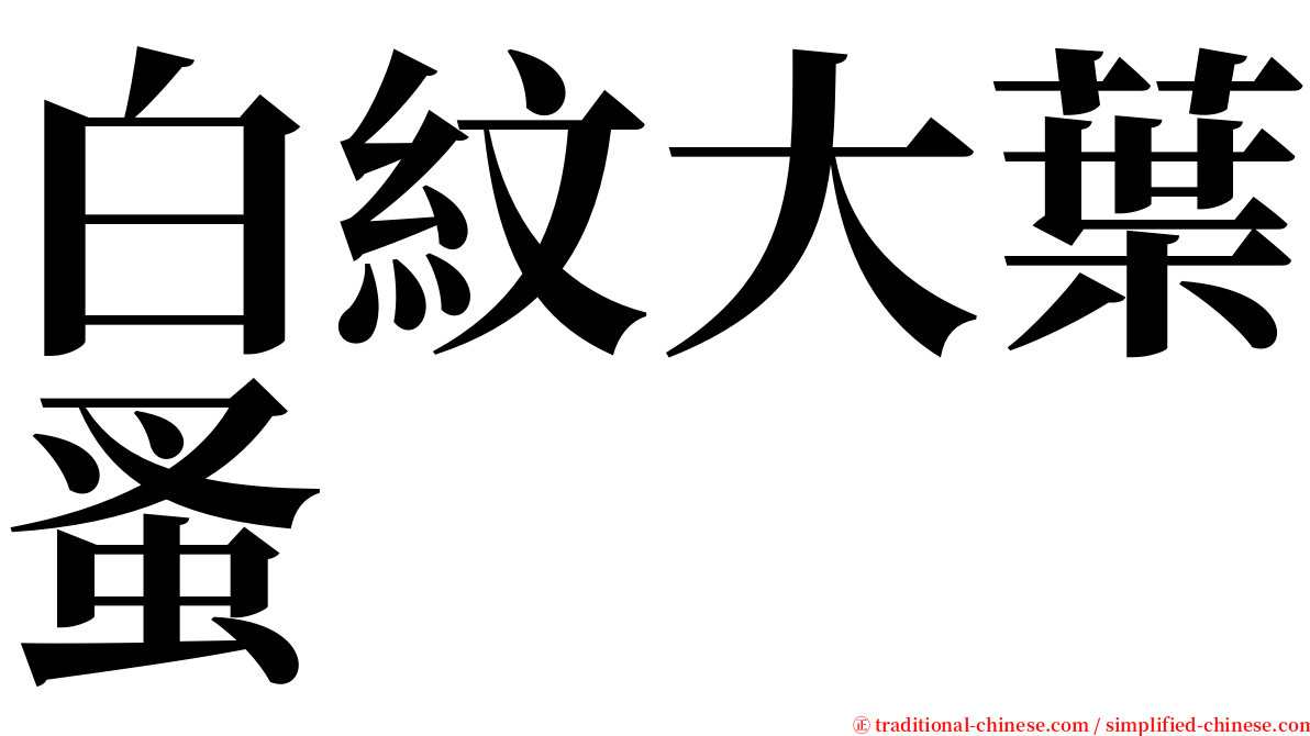 白紋大葉蚤 serif font