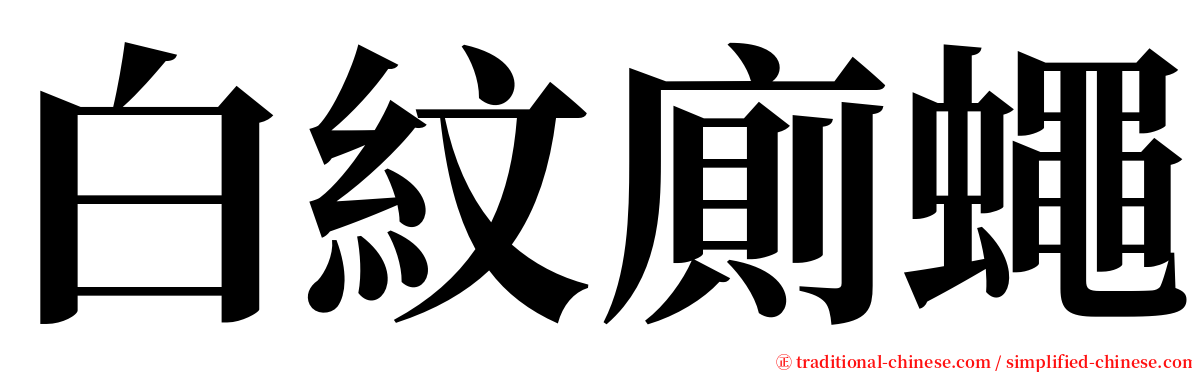 白紋廁蠅 serif font