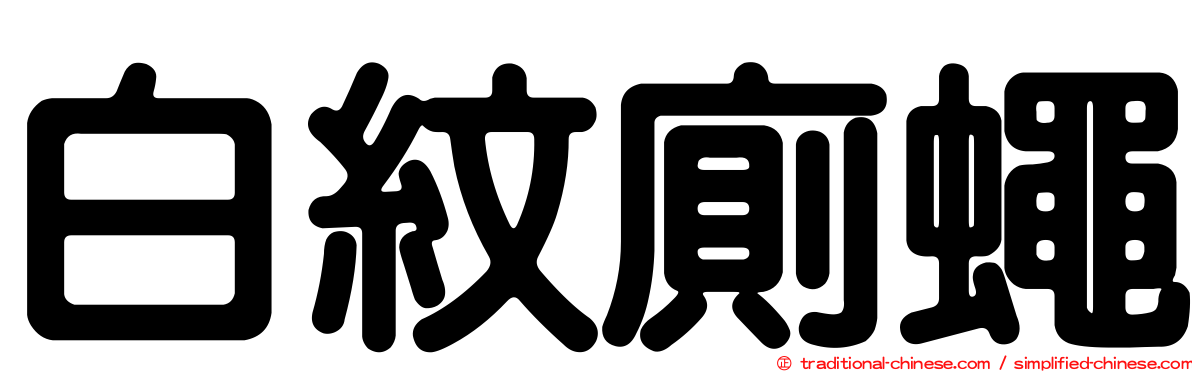 白紋廁蠅