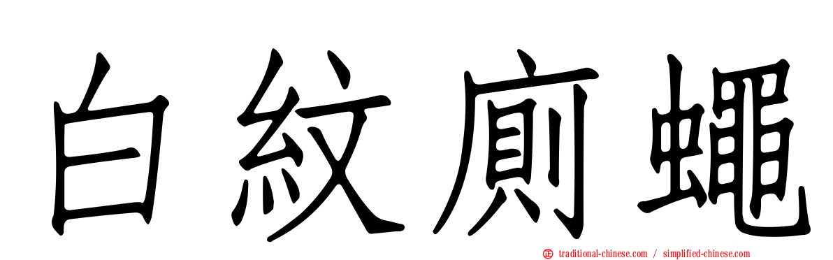 白紋廁蠅