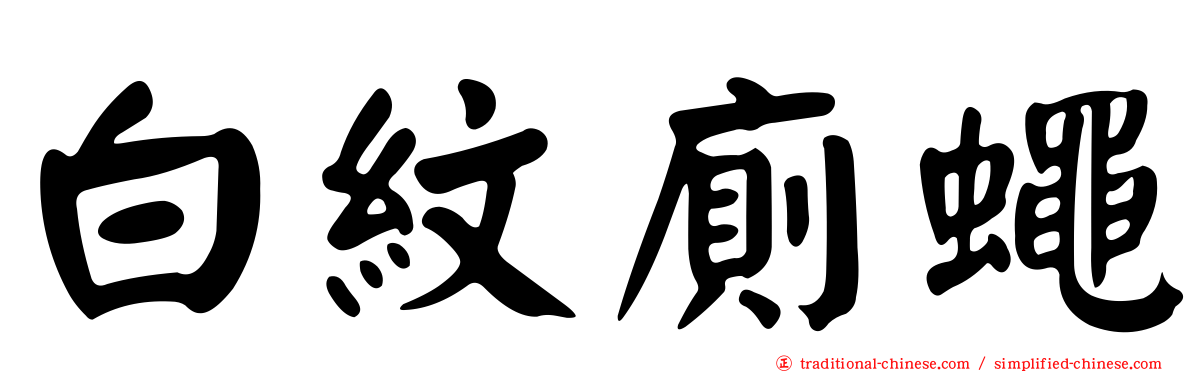 白紋廁蠅
