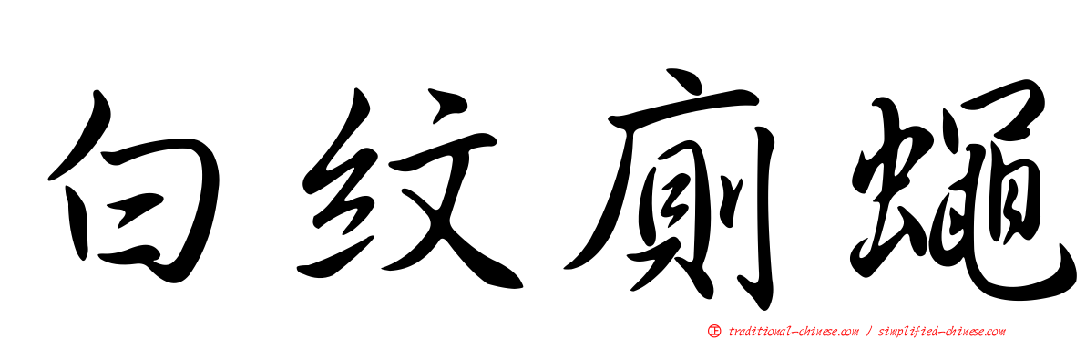 白紋廁蠅