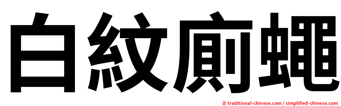白紋廁蠅
