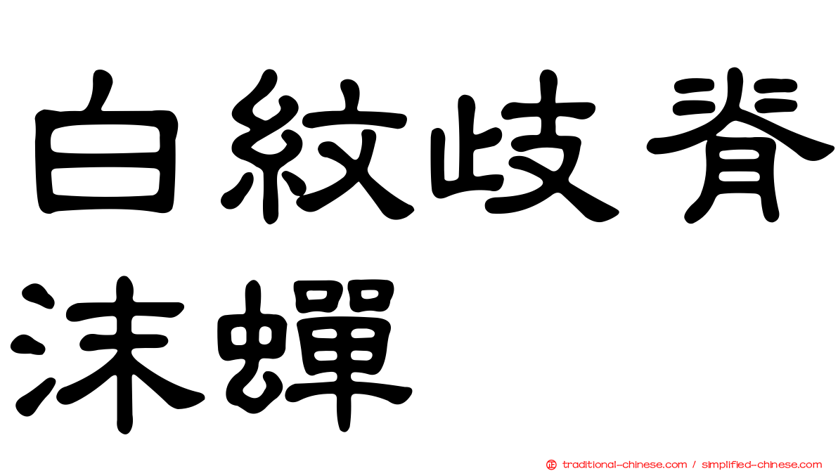 白紋歧脊沫蟬