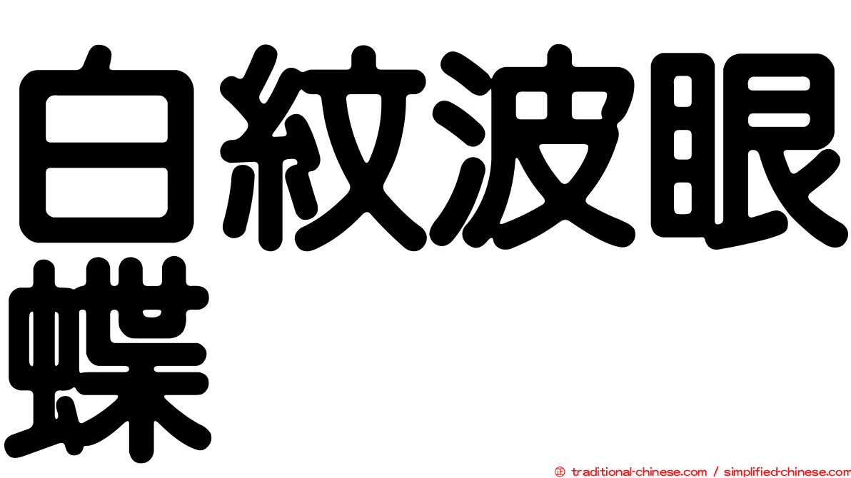 白紋波眼蝶