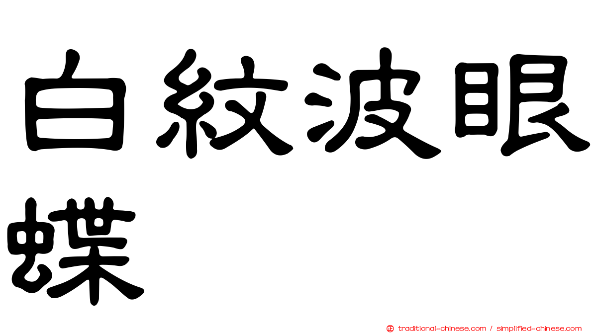 白紋波眼蝶