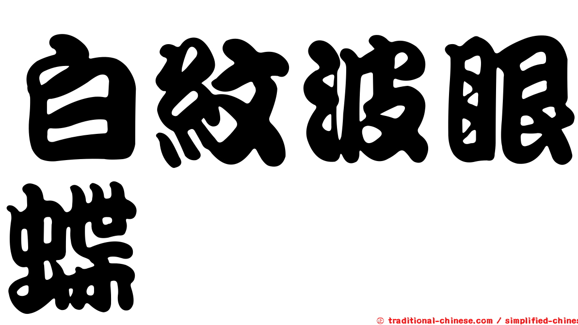 白紋波眼蝶