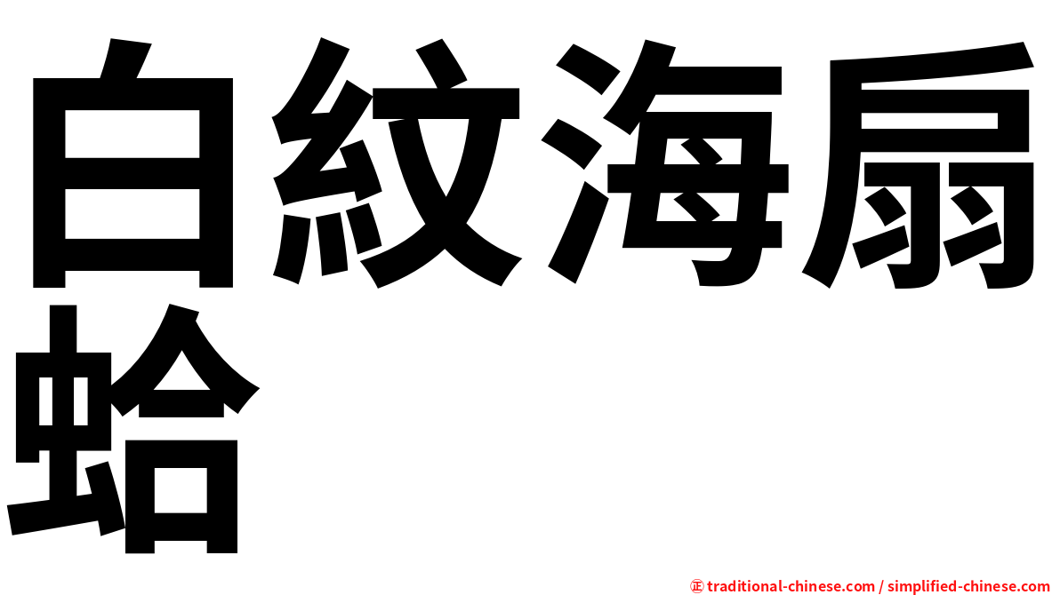 白紋海扇蛤