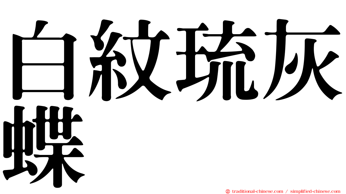 白紋琉灰蝶