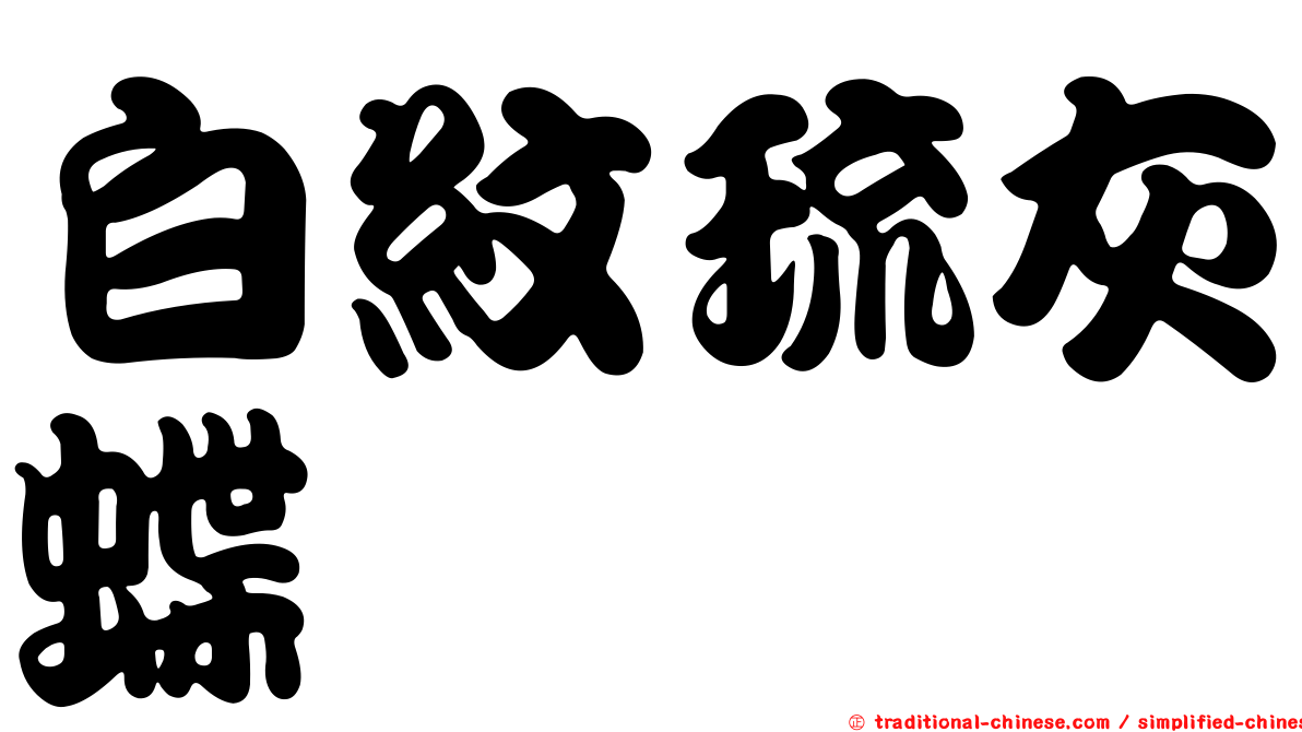 白紋琉灰蝶