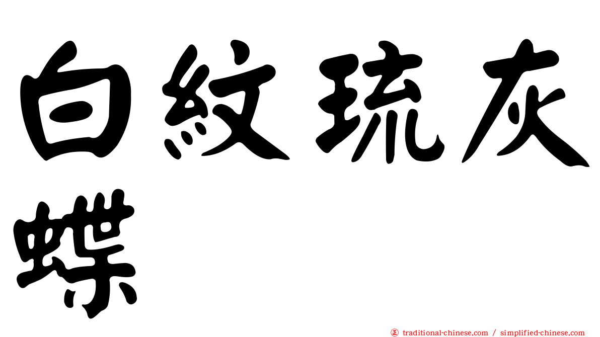 白紋琉灰蝶