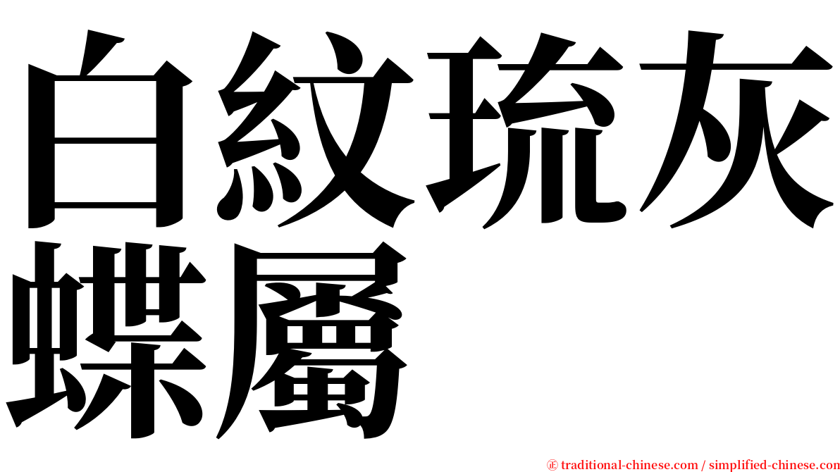 白紋琉灰蝶屬 serif font