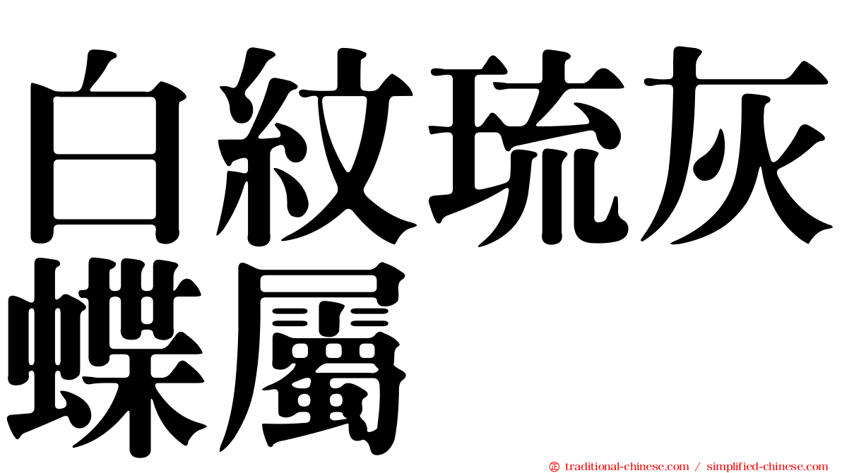 白紋琉灰蝶屬