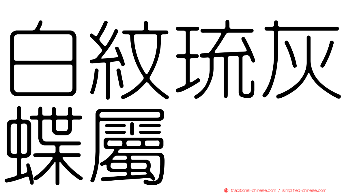 白紋琉灰蝶屬