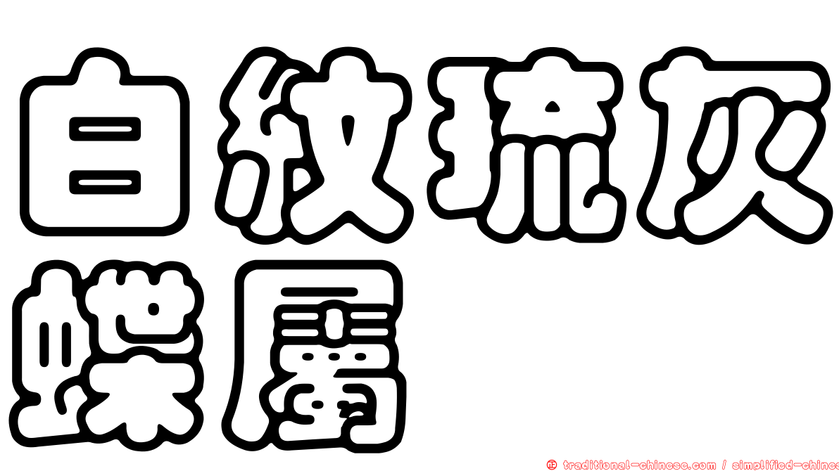 白紋琉灰蝶屬
