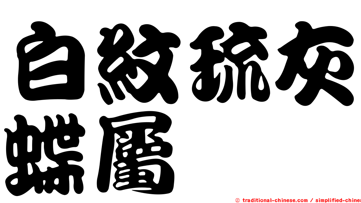 白紋琉灰蝶屬