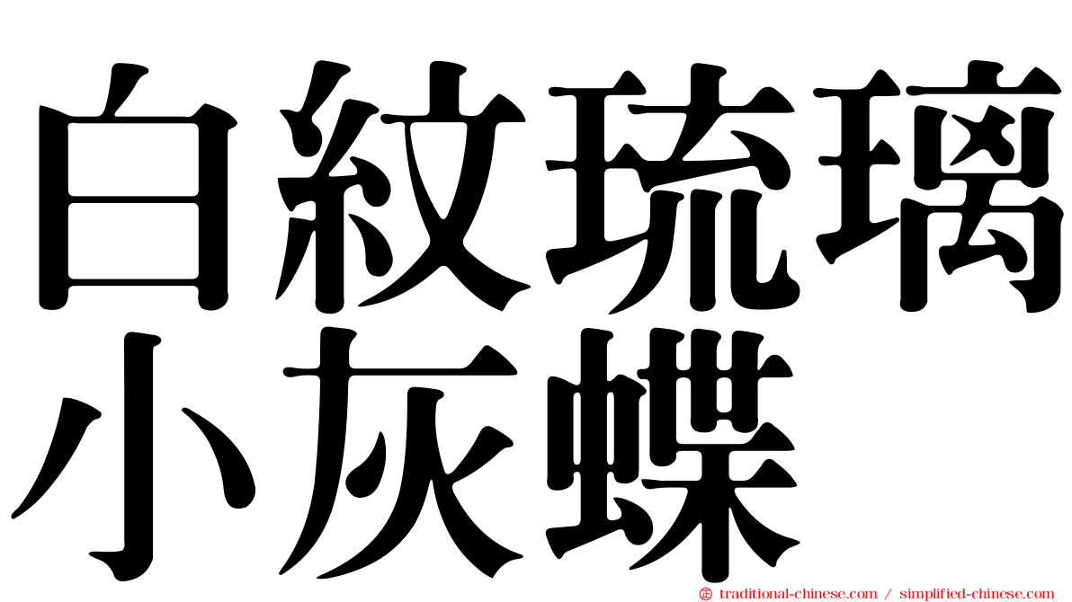 白紋琉璃小灰蝶