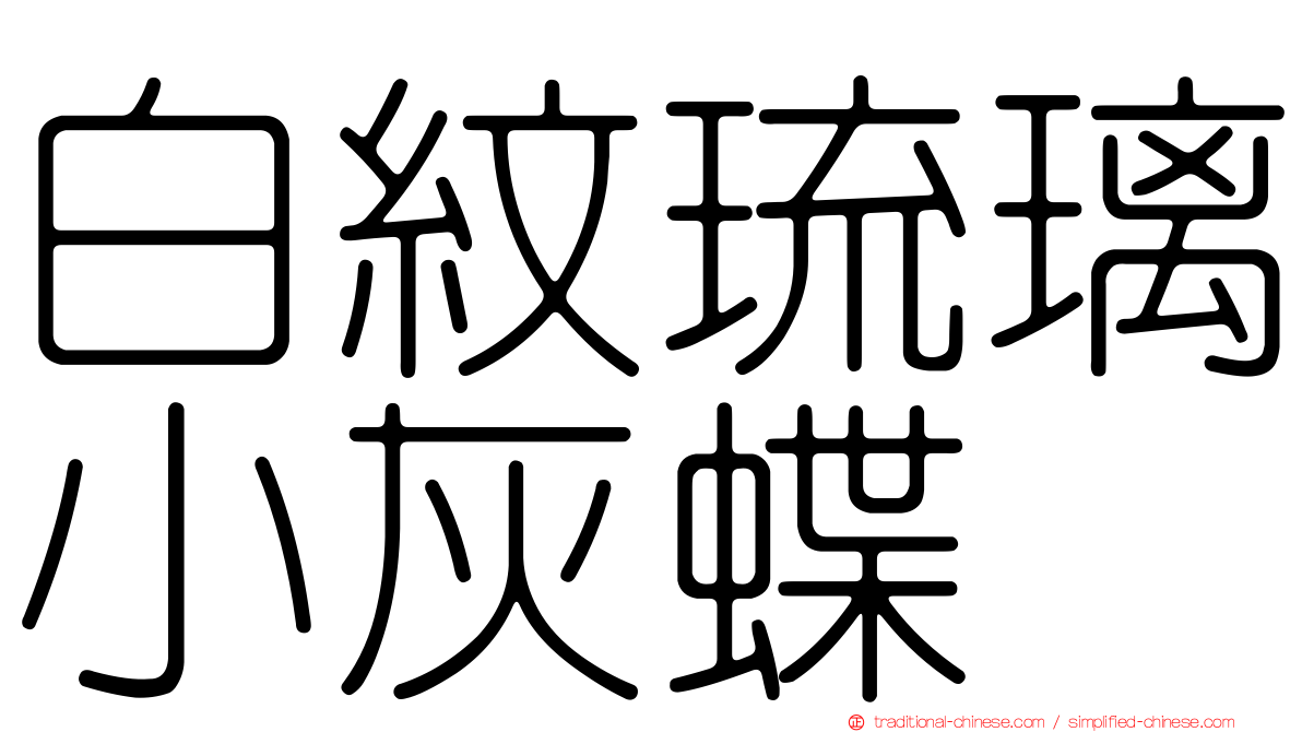白紋琉璃小灰蝶