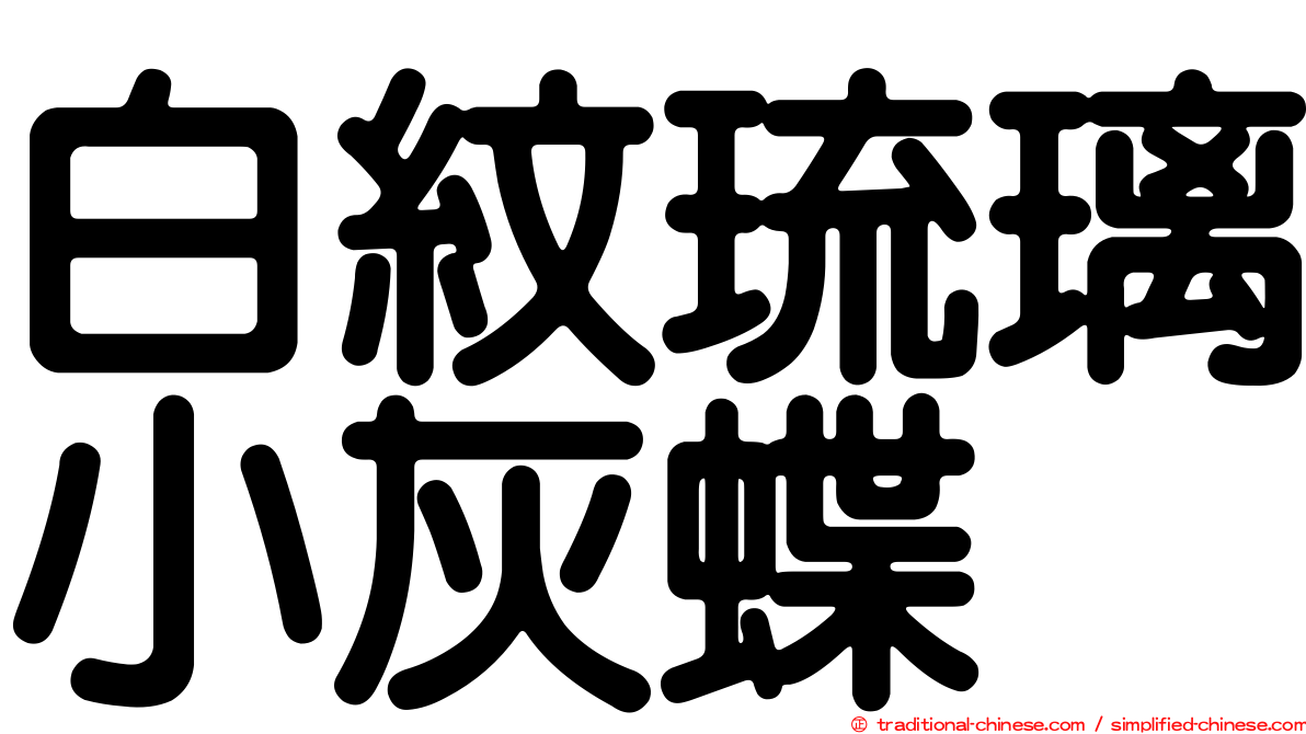 白紋琉璃小灰蝶