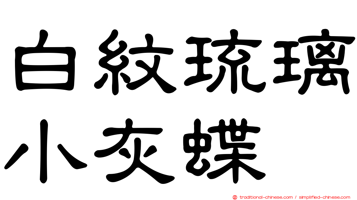白紋琉璃小灰蝶