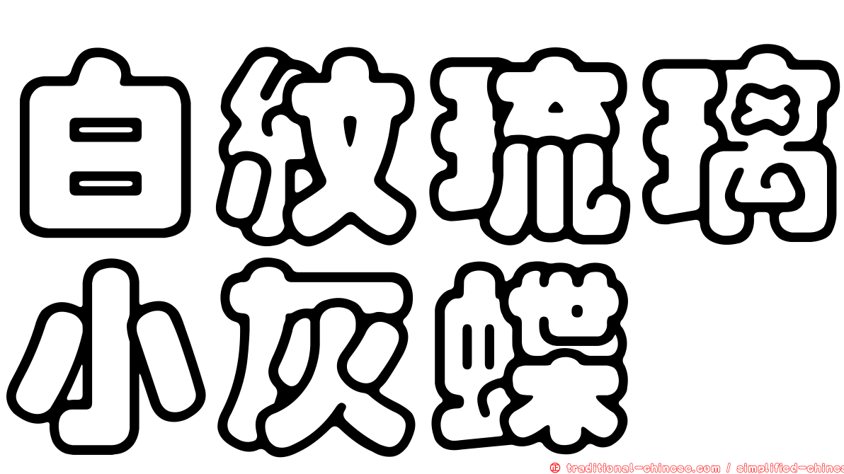 白紋琉璃小灰蝶