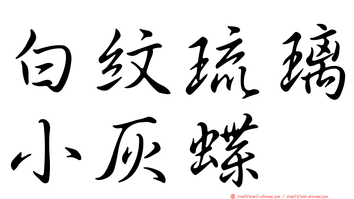 白紋琉璃小灰蝶