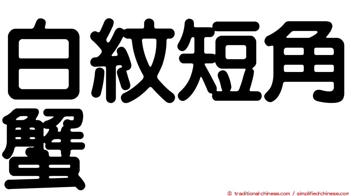 白紋短角蟹