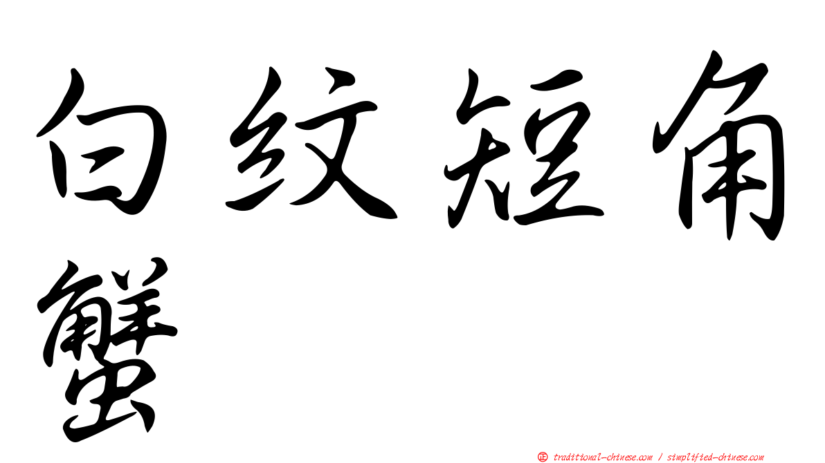 白紋短角蟹